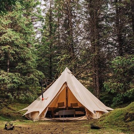 Golden Circle Tents - Glamping Experience Selfoss Exterior foto