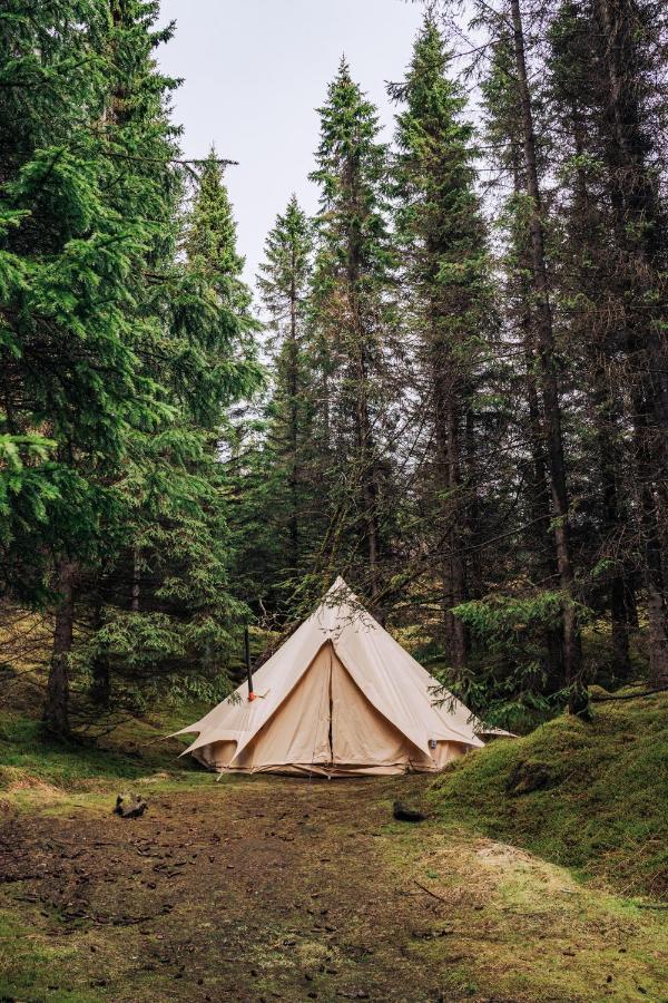 Golden Circle Tents - Glamping Experience Selfoss Exterior foto